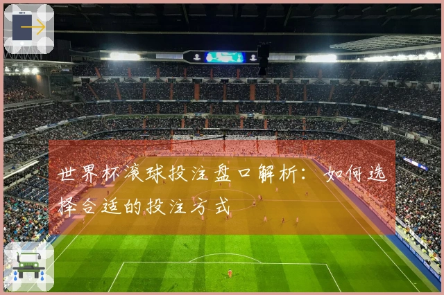 世界杯滚球投注盘口解析：如何选择合适的投注方式