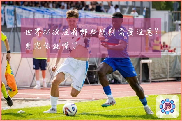 世界杯投注有哪些规则需要注意？看完你就懂了