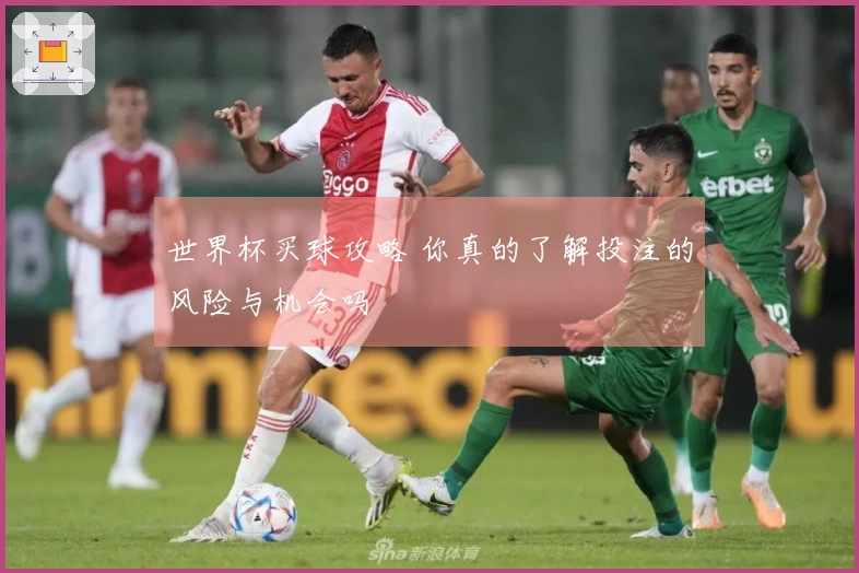 世界杯买球攻略 你真的了解投注的风险与机会吗