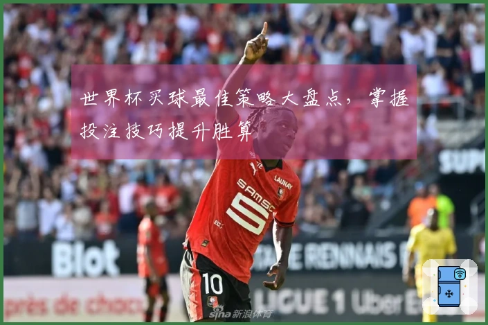 世界杯买球最佳策略大盘点，掌握投注技巧提升胜算