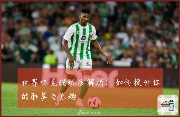 世界杯竞猜玩法解析：如何提升你的胜算与乐趣