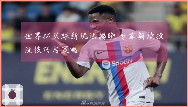 世界杯买球新玩法揭晓 专家解读投注技巧与策略