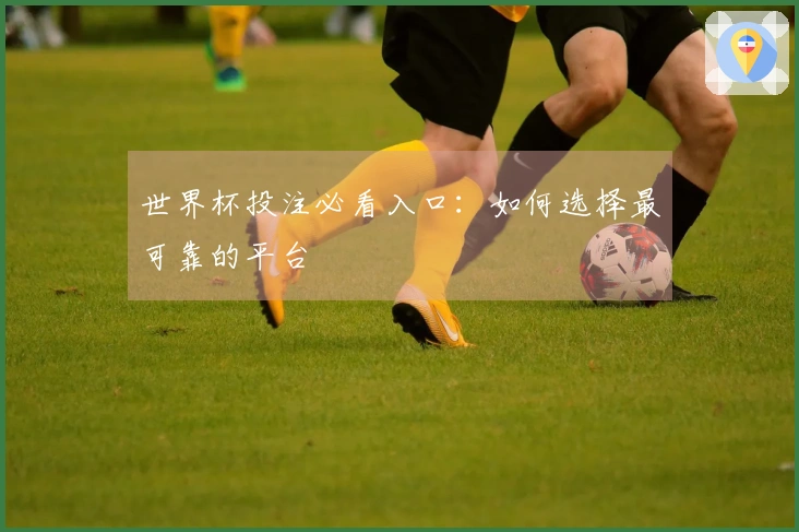 世界杯投注必看入口：如何选择最可靠的平台