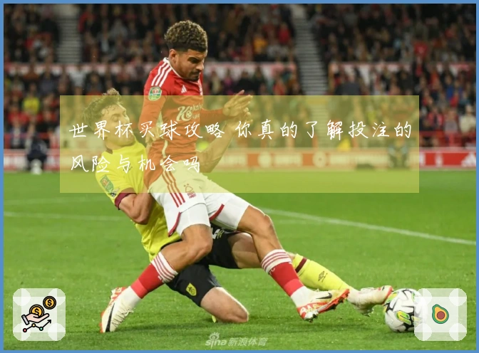 世界杯买球攻略 你真的了解投注的风险与机会吗