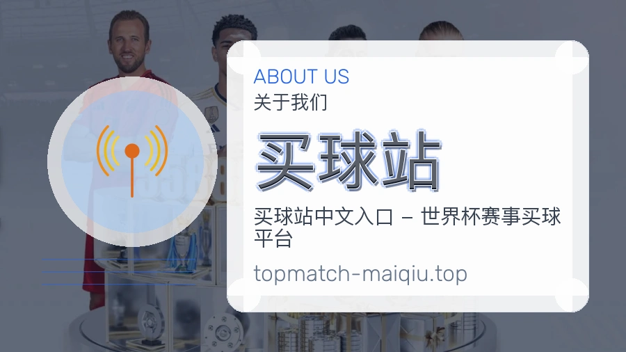 关于 买球站 团队与服务